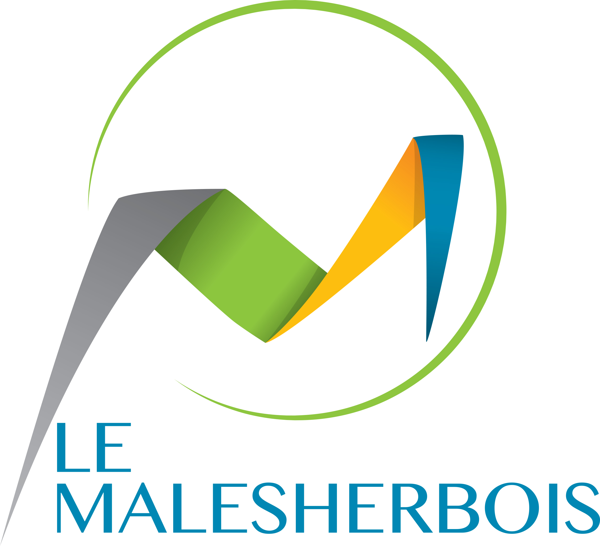 V Quadri Logo Le Malesherbois avec effets 