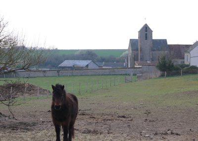 Paysage - Orveau - Le Malesherbois