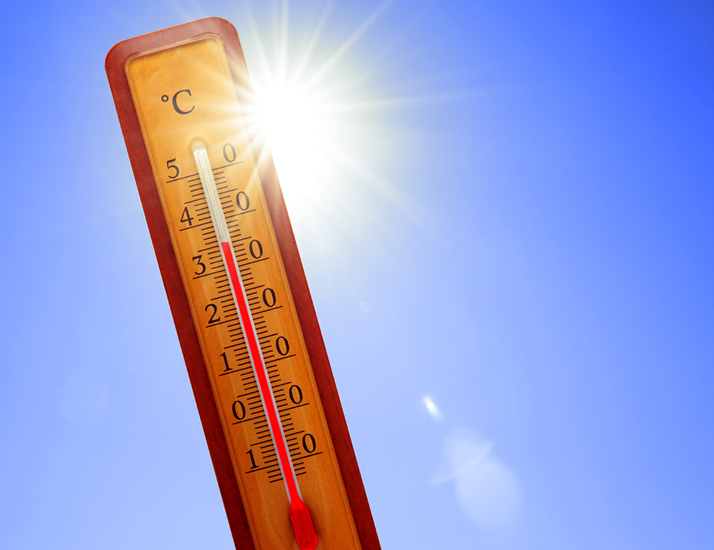 Canicule : Adoptons les bons gestes pour nous protéger !