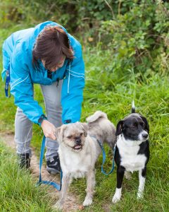 Portes Ouvertes du Club Canin de Malesherbes