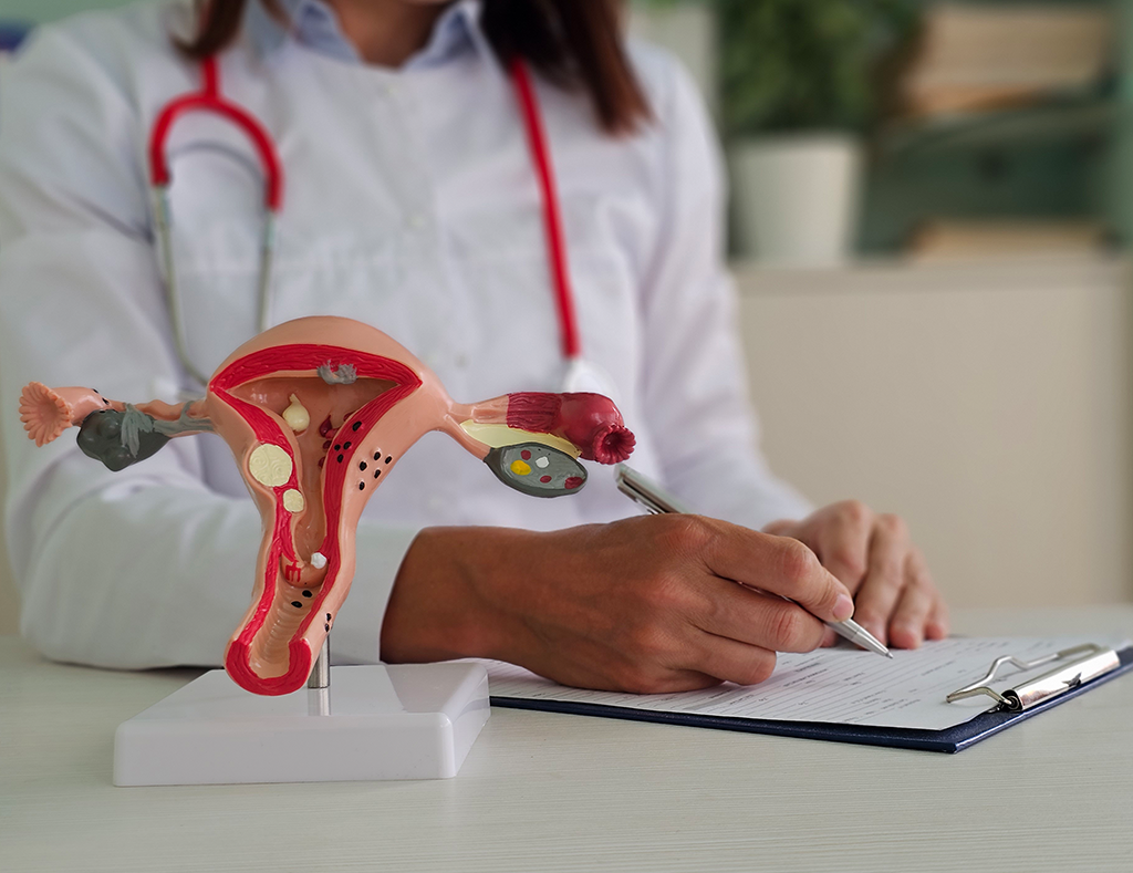 Prévention santé : dépistage gratuit du cancer du col de l’utérus à Malesherbes