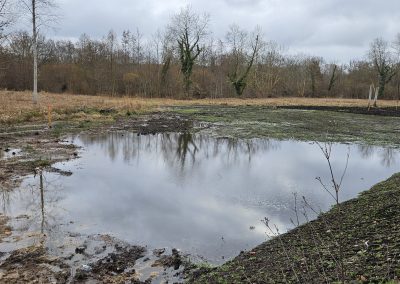 Restauration du marais - Le Melahesbois