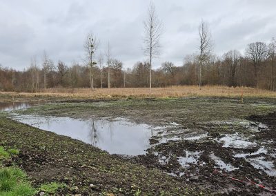 Restauration du marais - Le Melahesbois