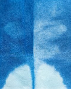 Fleurs de lumières ou l’art du cyanotype