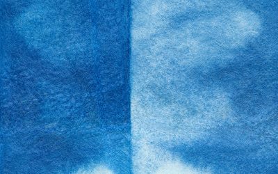 Art du cyanotype - Le Malesherbois