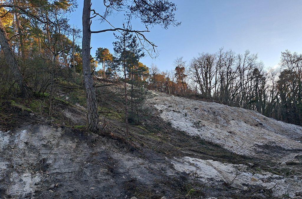 Gestion écologique des parcelles communales – Vallée de Ponteau / La Butte qui cogne