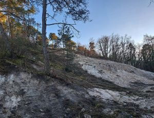 Gestion écologique des parcelles communales – Vallée de Ponteau / La Butte qui cogne